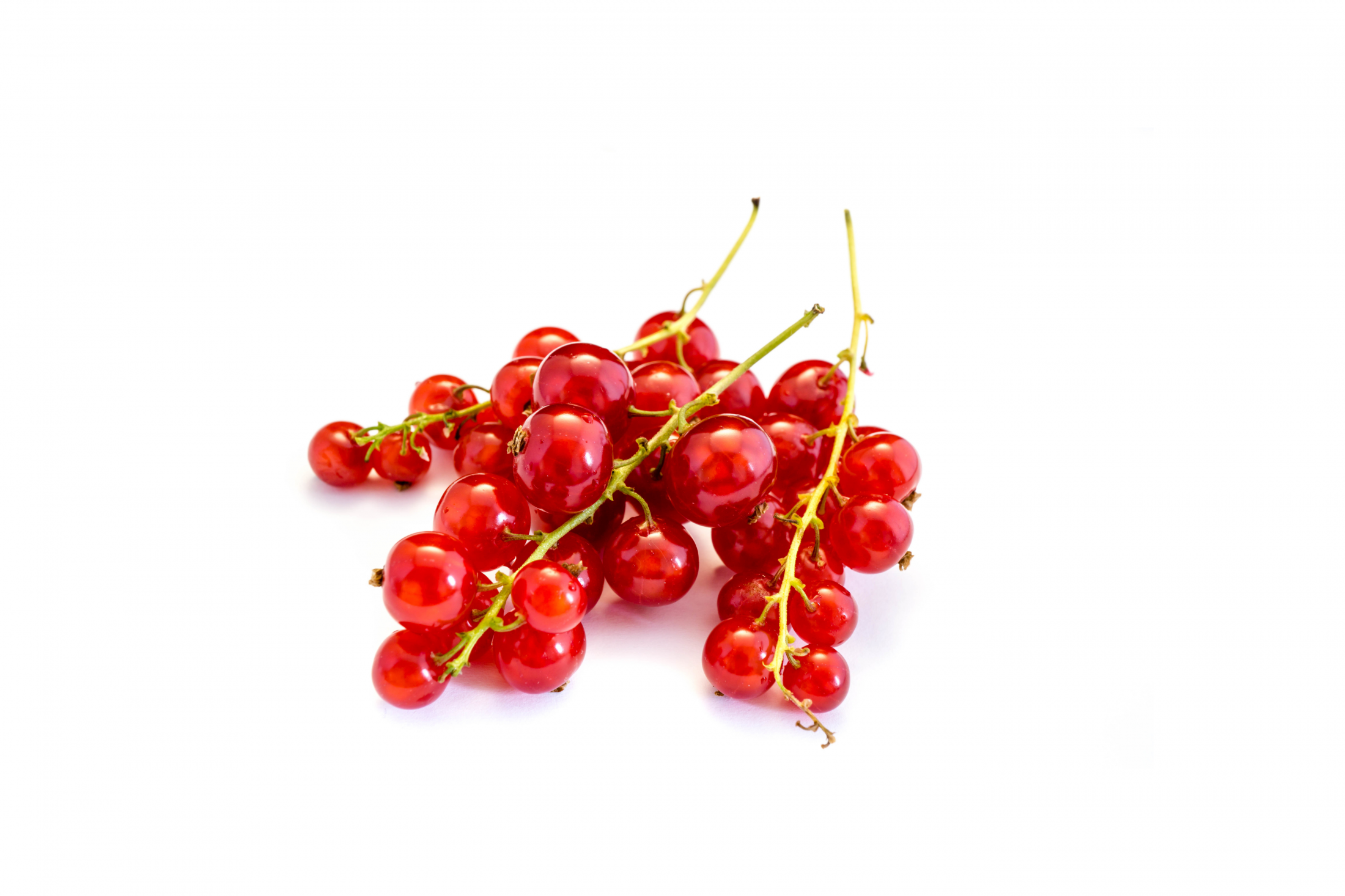 Czerwona Porzeczka Liofilizowana